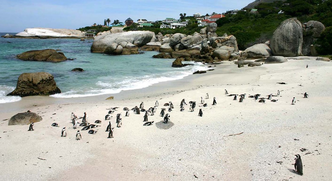 Photo from South Africa
