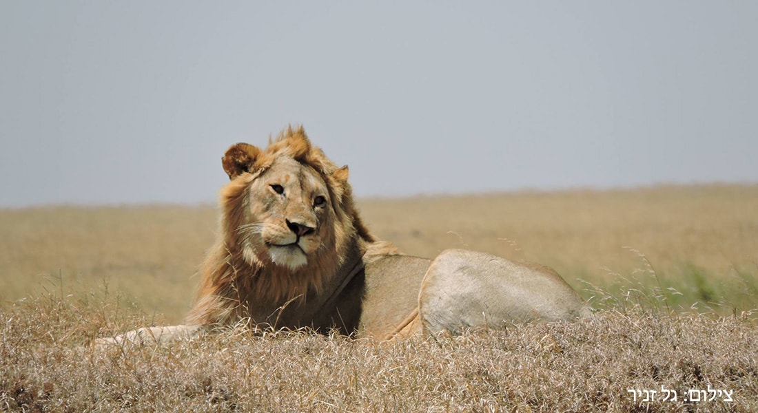 Photo from Tanzania & Zanzibar